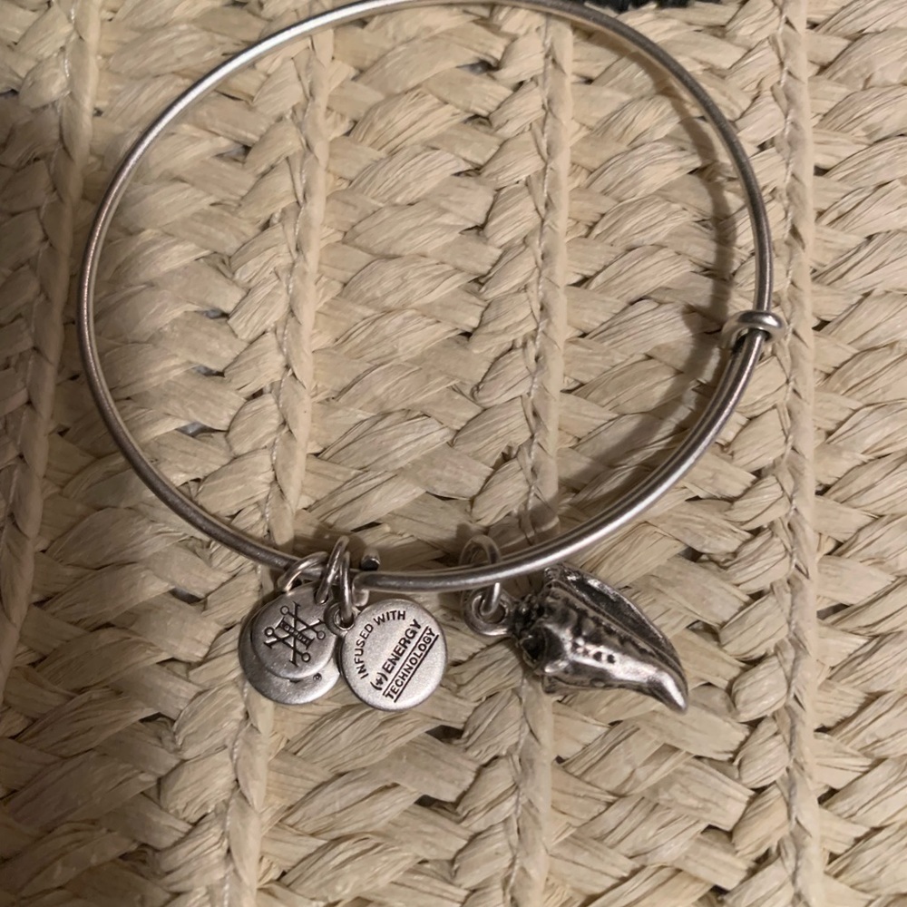 Alex and ani conch shell 🐚 bracelet